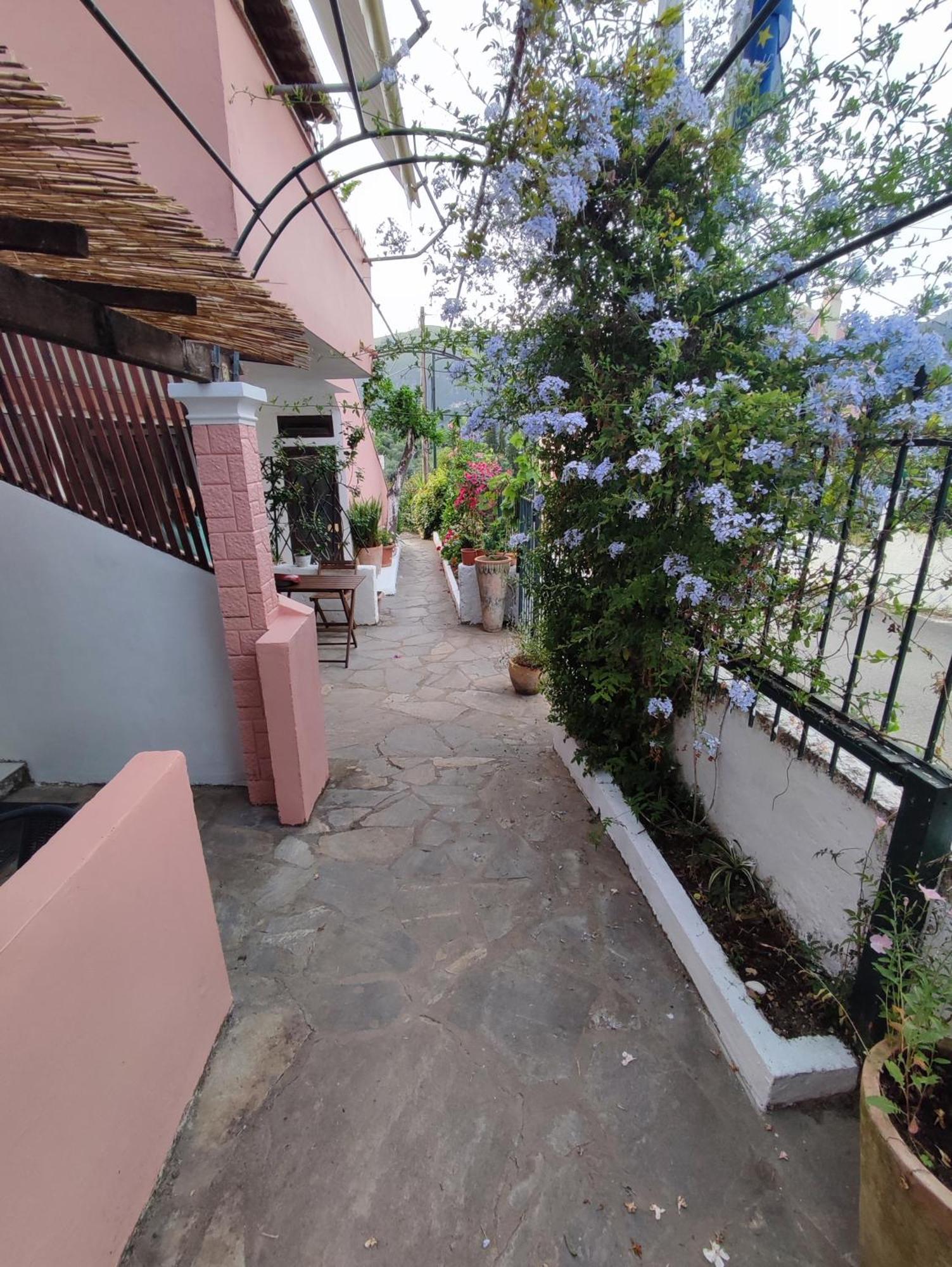 Villa Avra Dassia (Corfu) Exterior foto