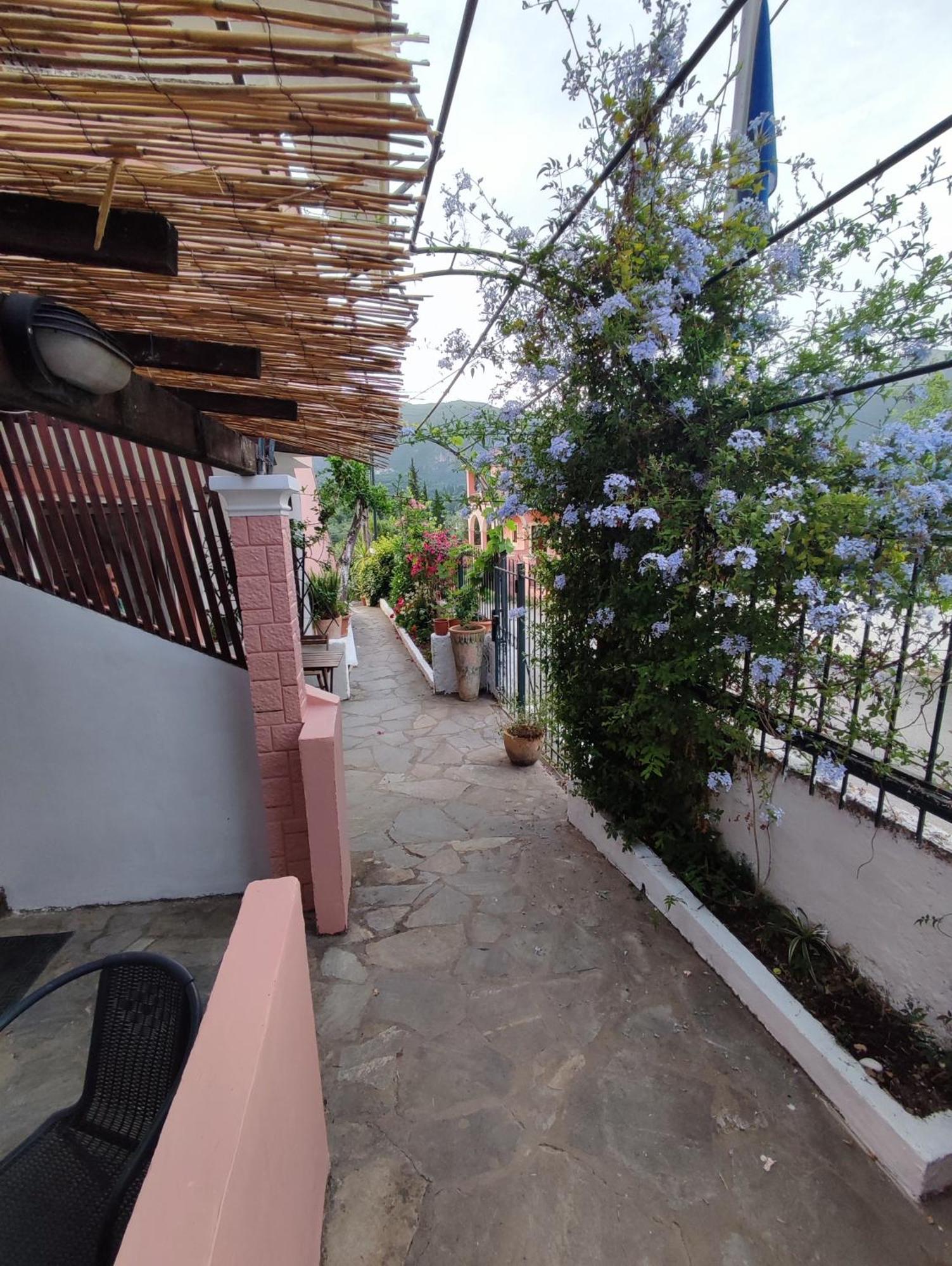 Villa Avra Dassia (Corfu) Exterior foto
