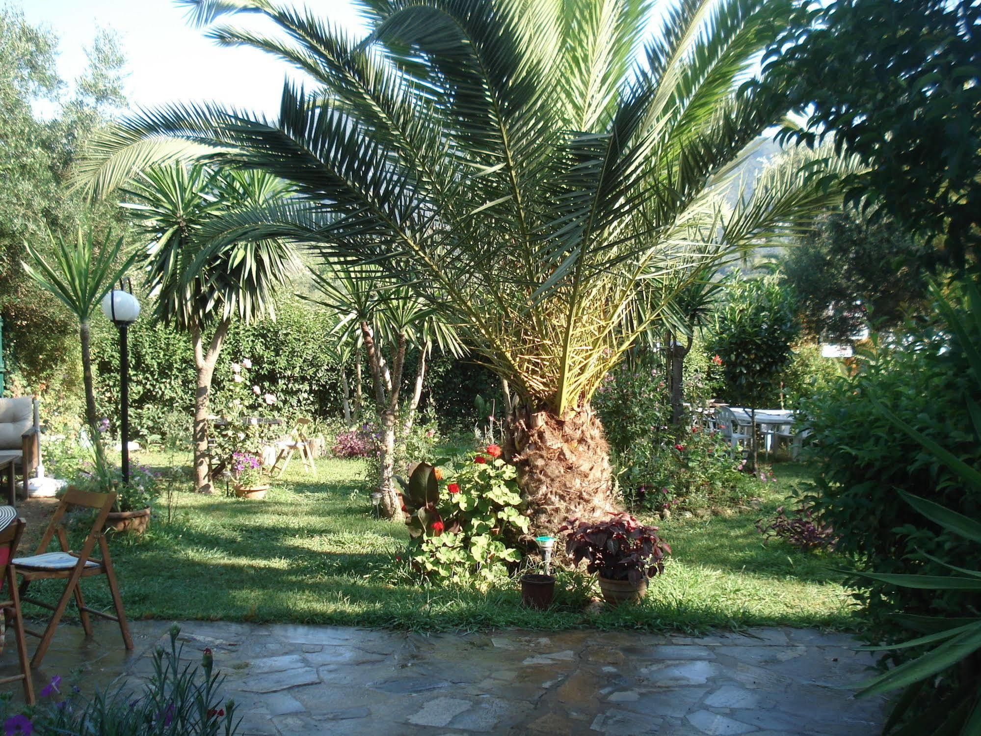 Villa Avra Dassia (Corfu) Exterior foto
