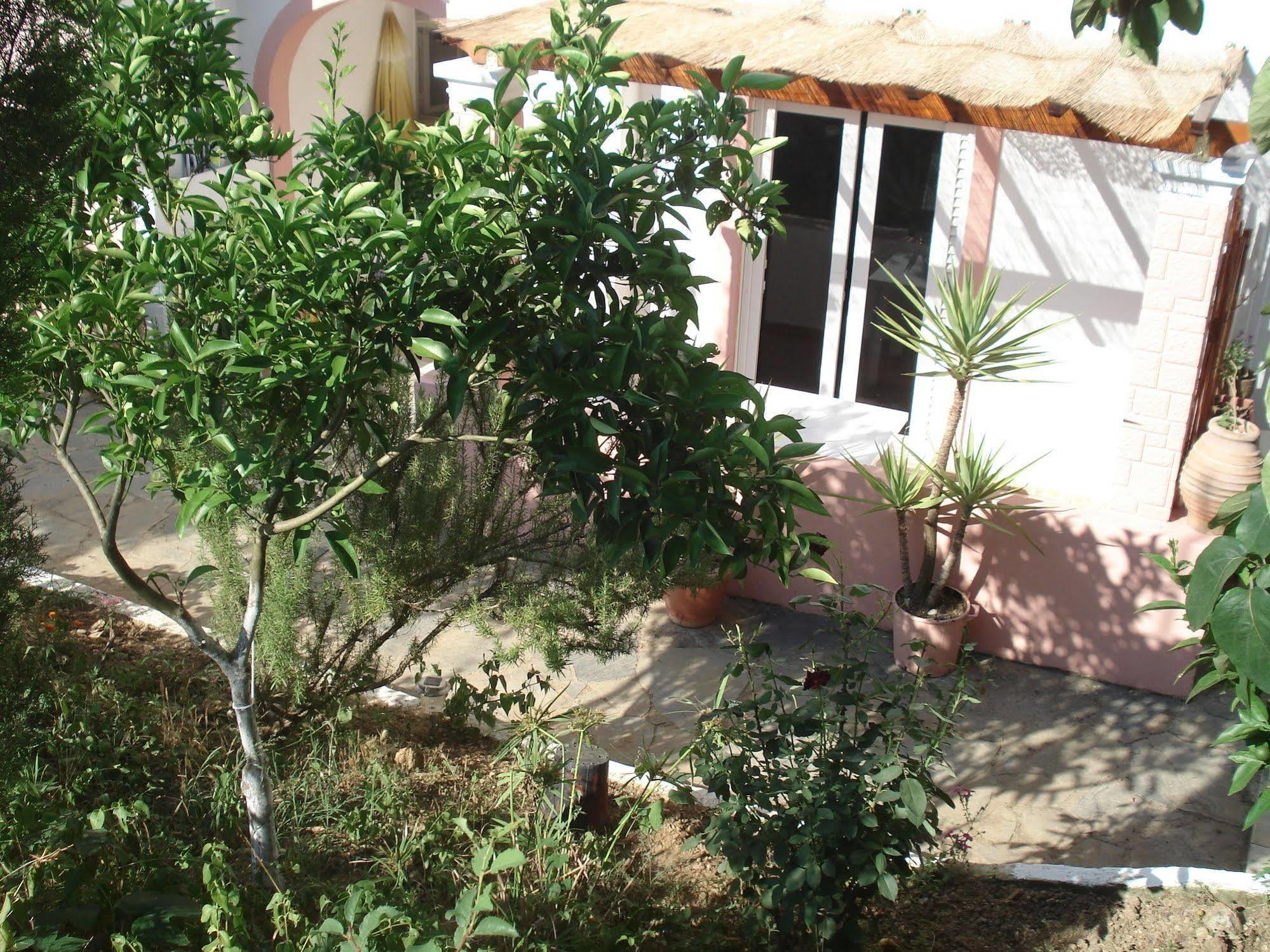 Villa Avra Dassia (Corfu) Exterior foto